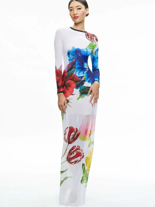 Alice and Olivia Delora Long Sleeve Crew Neck Maxi Dress-Women Dresses
