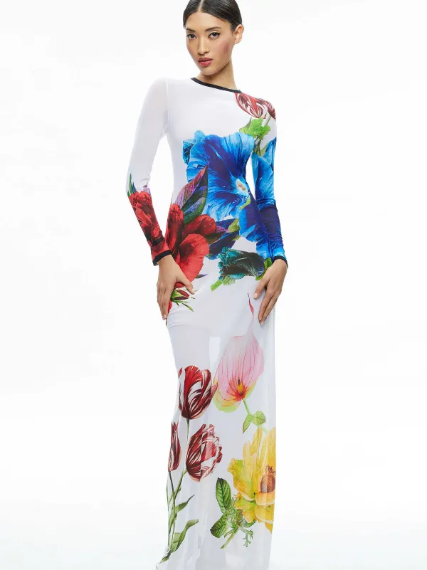 Alice and Olivia Delora Long Sleeve Crew Neck Maxi Dress-Women Dresses